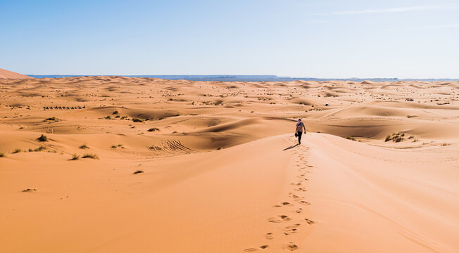 Back view of unrecognizable tourist enjoying stroll along sandy terrain in desert of Morocco on sunny day with blue sky