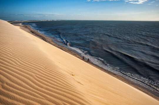 Close-up of a dune and spectacular views of the beach