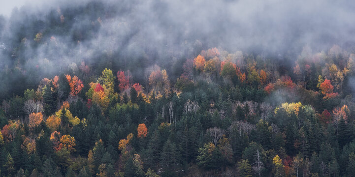 Picturesque drone view of mountain slope covered with colorful trees and snow in autumn day between fog
