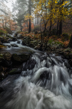 Beautiful view of mountain river streaming through forest in rocky valley on cloudy day in autumn