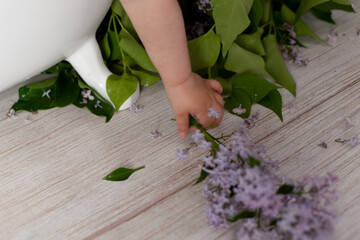flowers in a child's hand. bath with milk and lilac flowers