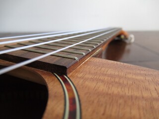 Ukelele fret close up
