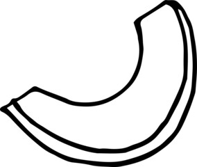 vector illustration of a melon