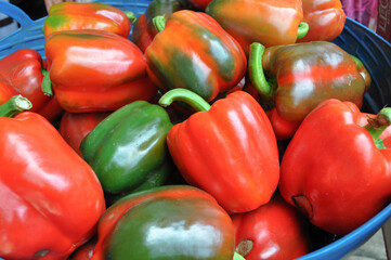Colorful pepper, green bell, red belt. 