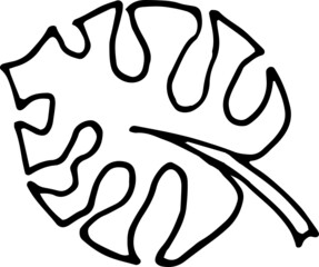 vector illustration of  a leaf.