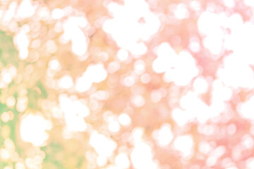 abstract soft bokeh circle pink and green beauty light background. fresh flare growing colorful effect design.