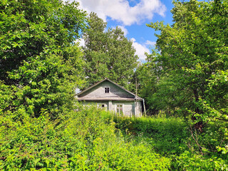 in the midst of green trees, bushes and grass, is an old uninhabited village house