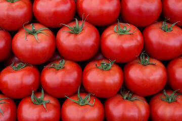 Red fresh tomatoes close-up. Group of tomatoes
