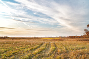 Fototapeta na wymiar Clouds over an autumn meadow and forest in Sunny weather