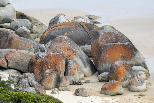 Huge orange bolders at Squeaky Beach in Wilsons Promontory, Victoria, Australia