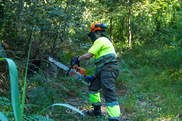 galicia, spain july 10, 2020: forest woman working in the bush with chainsaw