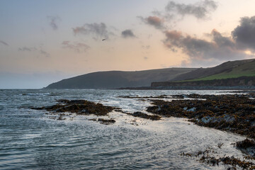 A view of Hannafore Point, West Looe, Cornwall,UK