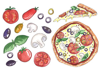 Hand painted watercolor illustrations of a whole flat lay pizza, a slice and a lot of tasty ingredients. Isolated food illustrations for restaurants and cooking. Tomatoes, mushrooms, olives and basil.