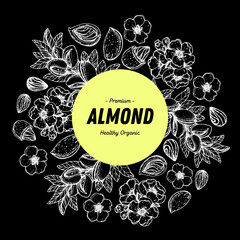 Almond nuts hand drawn sketch. Almond label, logo. Nuts vector illustration. Organic healthy food. Great for packaging design. Engraved style. Black and white color.