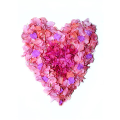 love symbol made of colorful flower petal over on white background