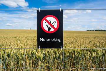 A no smoking sign in a field of wheat during summer under the blue sky