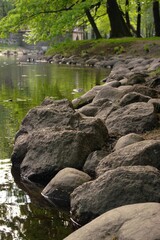 landscape of the lake coastline, with large stones in the foreground and tree trunks with soft green crowns in the distance, vertical format