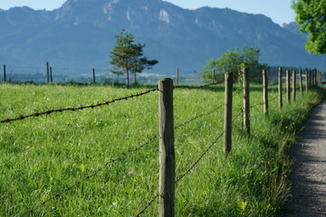 Fototapeta na wymiar Handcrafted fence photographed outdoors in the best of daylight