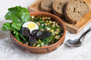Cold Soup Okroshka with sausage, vegetables, kvass and beet leaves on light textile background. Selective focus. Rustic style.