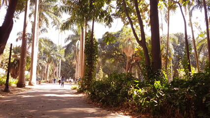 path in the park