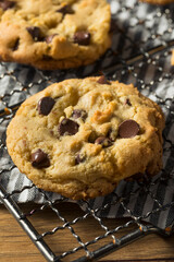 Homemade Warm Chocolate Chip Cookies