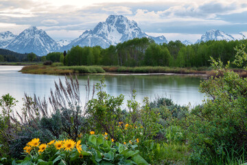 Fototapeta na wymiar Grand Teton National Park scenery on a partially cloudy day in early June