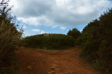 Dust paths with greenery around it, Kauai Hawaii USA