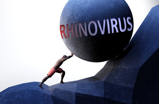 Rhinovirus as a problem that makes life harder - symbolized by a person pushing weight with word Rhinovirus to show that Rhinovirus can be a burden that is hard to carry, 3d illustration