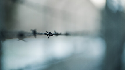 stary drut kolczasty w muzeum w obozie koncentracyjnym w oświęcimiu auschwitz birkenau - obrazy, fototapety, plakaty