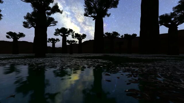 Milky Way at Avenue of the Baobabs