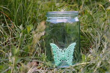 Butterfly in a glass jar. Loss of freedom. Isolation and loneliness.