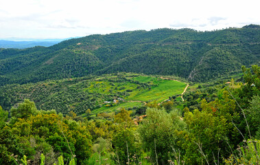 Fototapeta na wymiar Parque Natural de los Alcornocales Serranía de Ronda Andalucía España