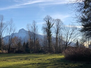 sunset in the forest