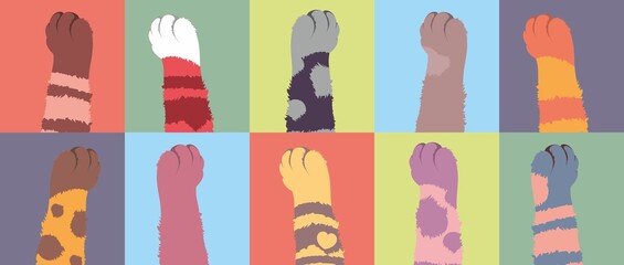 Paws of cats of different colors. 10 spotted, striped, one-color cat legs in rectangles. Shaggy woolen paws in the vector. Painting of modern art. © Эжен Лавре