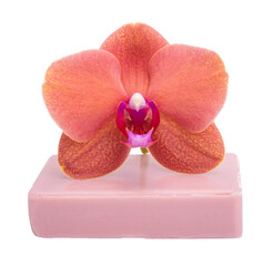 Beautiful phalaenopsis or exotic orchid flower on aroma soap isolated on the white