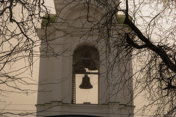 Foggy church in woods