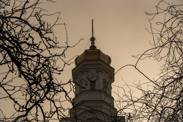 Foggy church in woods