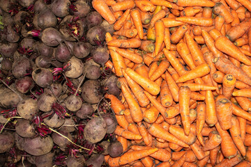 Heap of Beetroot and Carrot in an Indian Vegetable Market for Selling, Perfect for Background and Wallpaper