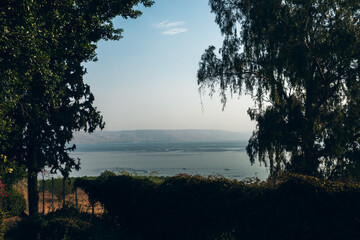 View over the bushes at the sea, Galilee Israel.