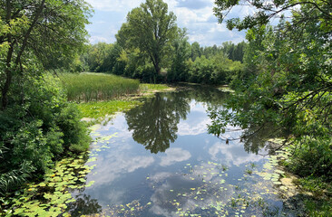 Ukrainian lake in the forest