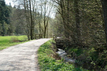 Hiking trails in the Bavarian Forest in spring