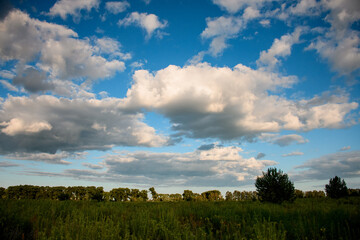 beautiful view of the field, skyline and blue sky with white clouds