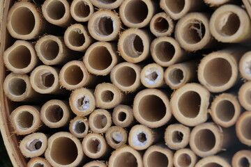 Bamboo Insect hotel close up 
