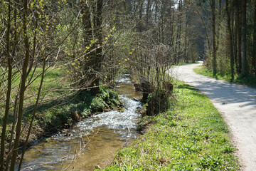 Hiking trails in the Bavarian Forest in spring