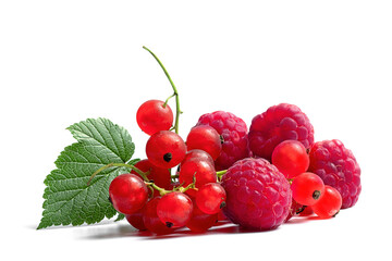 ripe and juicy red currant raspberry with green leaflet on a white background