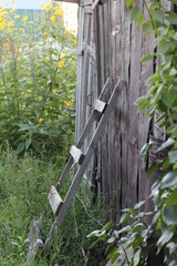 A Vintage Ladder Marched To The Wall Of An Old Shed in Russia 