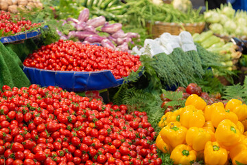 Variety of colorful fresh organic vegetables on the farmers market stall, homegrown natural eco food, cherry tomatoes, pepper, squash, eggplant, greenery