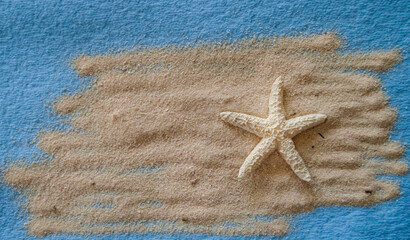 Fototapeta na wymiar Etoile de mer sur fond de sable 