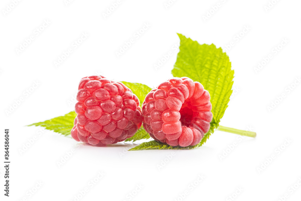 Wall mural ripe red raspberries.