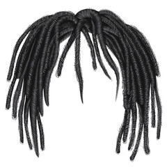 trendy african long  hair dreadlocks . realistic  3d . fashion beauty style .hairstyle wig